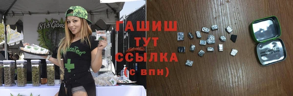 гидра Верхний Тагил
