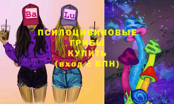 прущие грибы Верхнеуральск