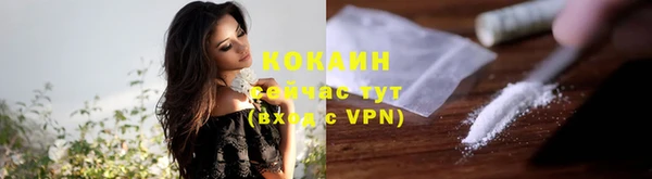 гидра Верхний Тагил