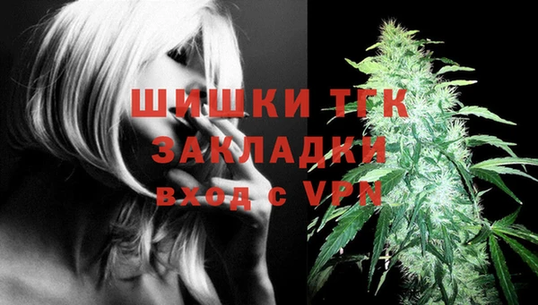 прущие грибы Верхнеуральск