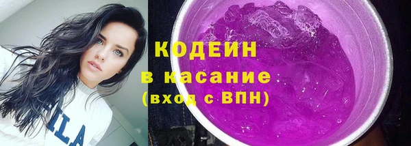 стаф Бородино