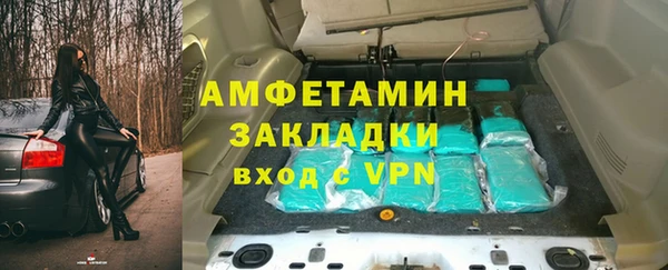 гидра Верхний Тагил