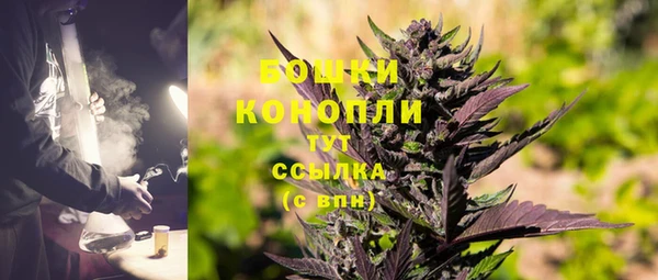 гидра Верхний Тагил
