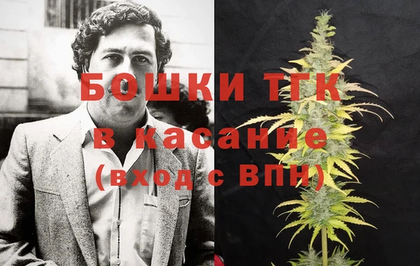 гидра Верхний Тагил