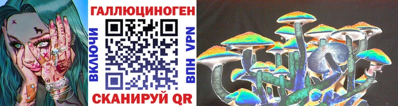 Купить закладки  Маркс  Галлюциногенные грибы GOLDEN TEACHER 